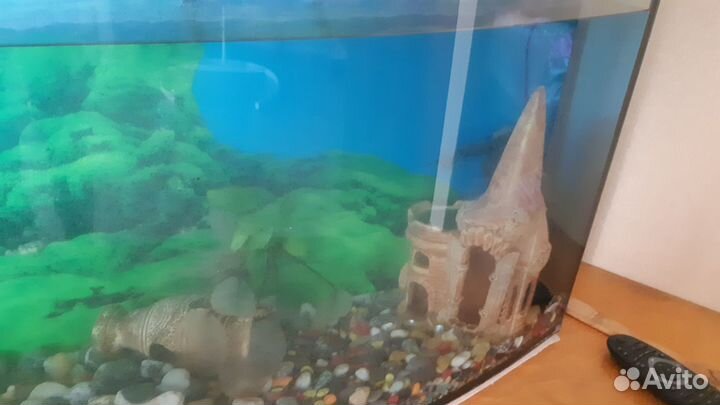 Аквариум на 120 литров