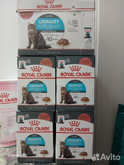 Royal canin влажный корм urinary