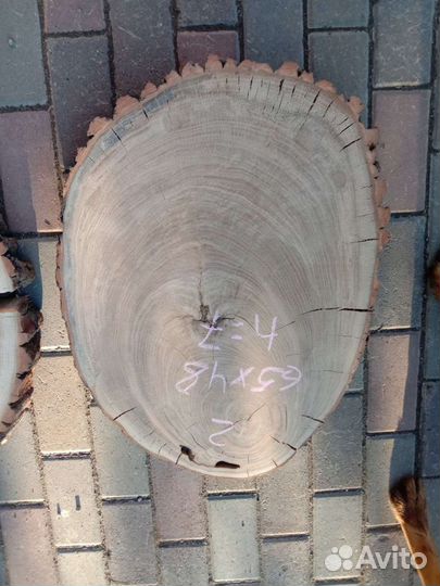 Спилы из дуба