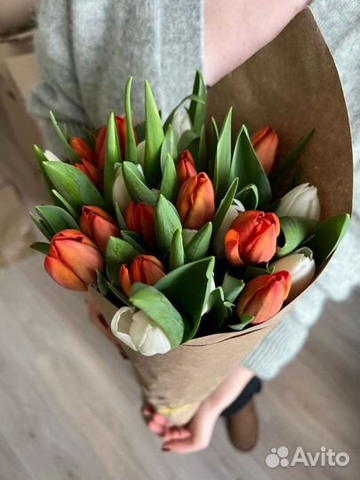 Цветы тюльпаны опт