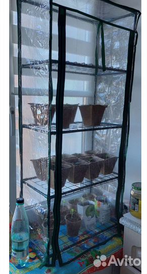 Парник для рассады на подоконник