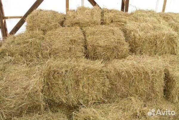 Сено и солома, качество отличное