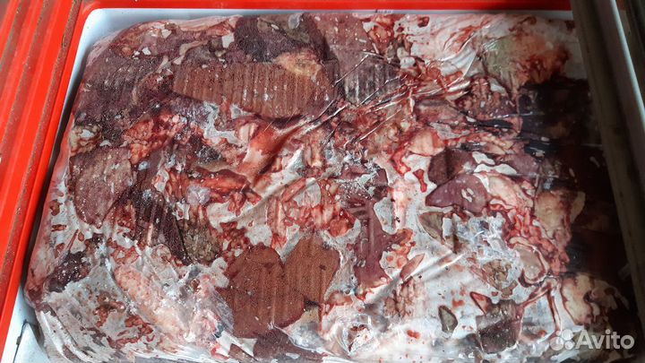 Мясо для собак Говядина