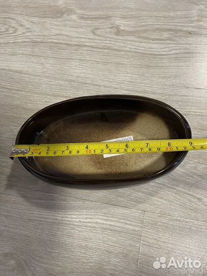 Бонсайницы