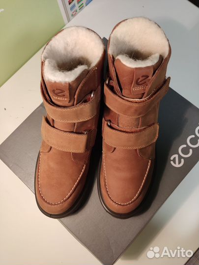 Ботинки/сапоги Ecco. Оригинал. Р.36