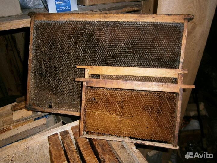 Нуклеус для пчёл