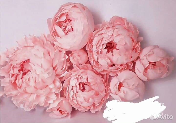 Ростовые Пионы