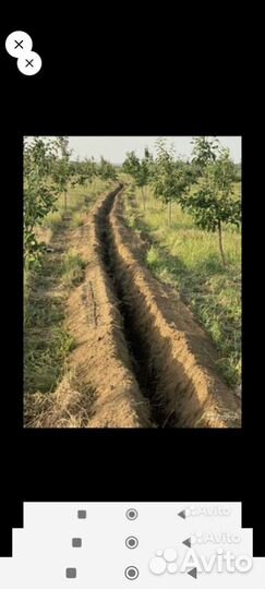 Траншей копатель