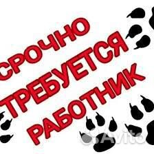 Выкладка товара