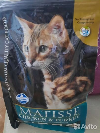 Корм для кошек