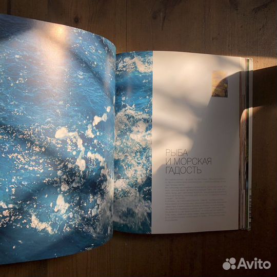 Ника Белоцерковская «Рецептыши»