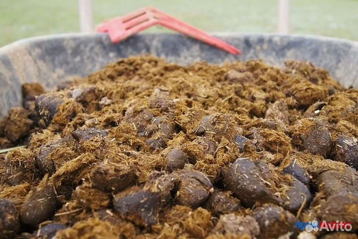 Навоз коровий