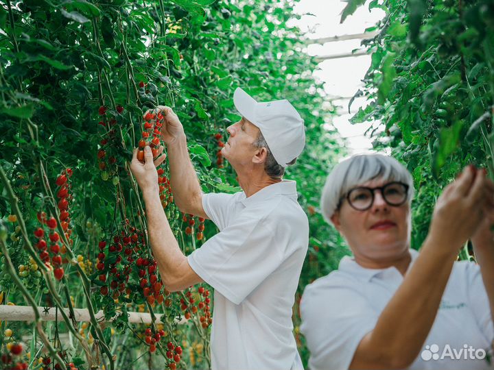 Уборщик служебных помещений