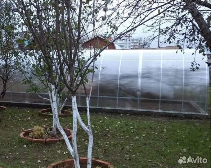 Теплица 3 на 6 из поликарбоната усиленная