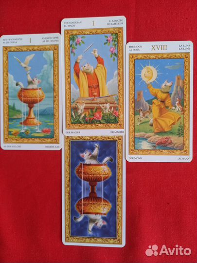 Гадание на картах Таро,любовь,отношения,обучение