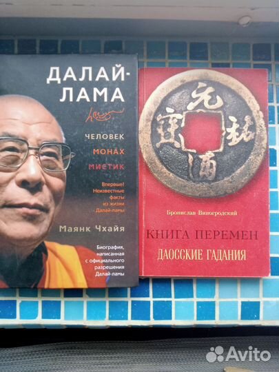 Далай Лама. человек. монах. мистик