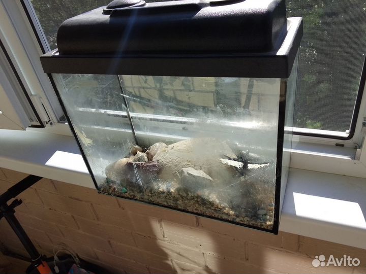 Аквариум