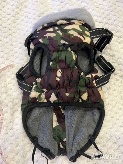 Одежда для собак