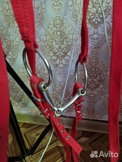 Амуниция для лошади