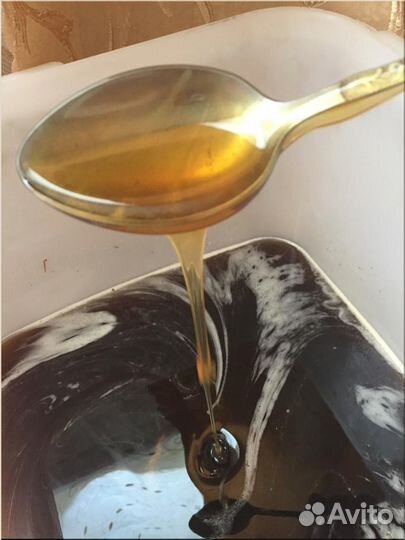 Мёд донник липовый акация Опт от 100 кг