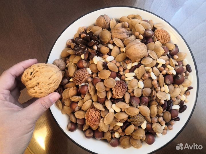 Природные материалы для творчества мелкой моторики