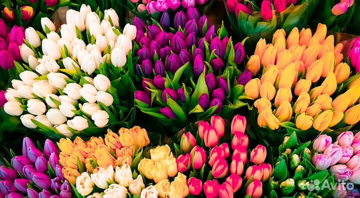 Вахта 20 смен 3-х раз питание теплица Обнинск