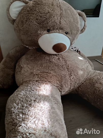 Плюшевый медведь