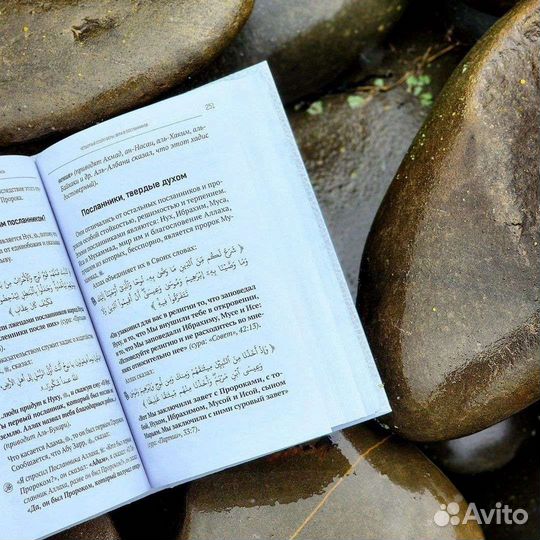 Шесть столпов веры
