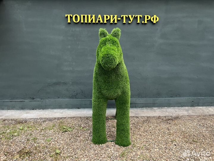 Топиари Топиарные фигуры Садовые фигуры