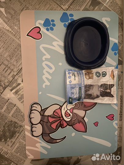 Черепаховая кошка