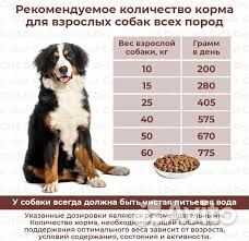 Корм для собак мясной гуляш с овощами Дилли 14 кг