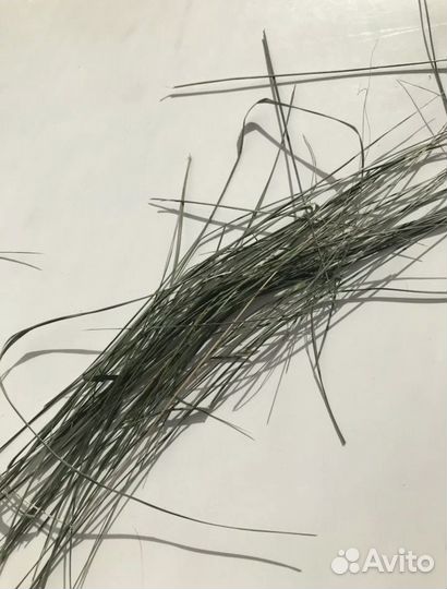 Свежая трава/сено для домашних питомцев