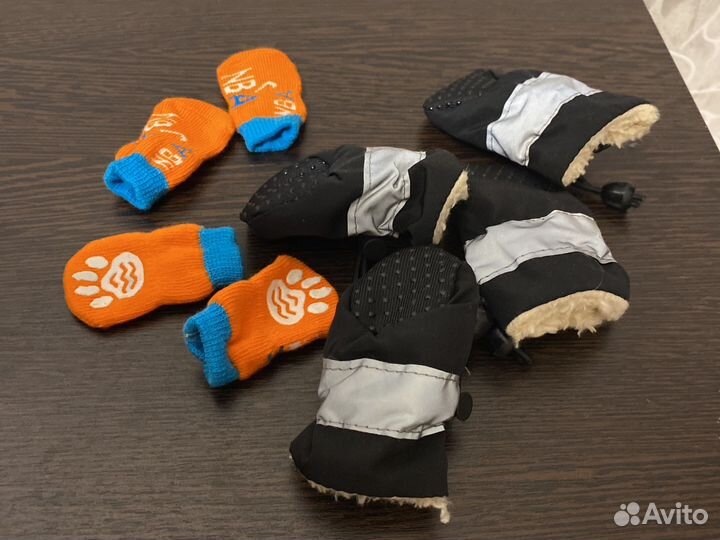 Обувь и Одежда для маленьких собак xs