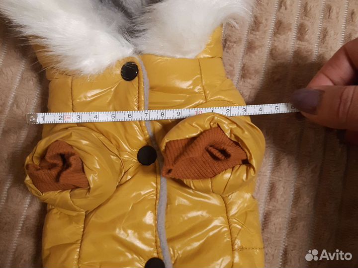 Зимний костюм для для собаки