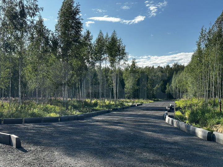 Участок 6,5 сот. (ИЖС)