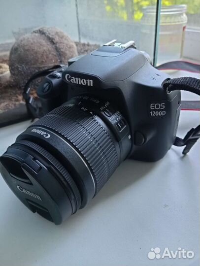 Зеркальный фотоаппарат Canon EOS 1200D