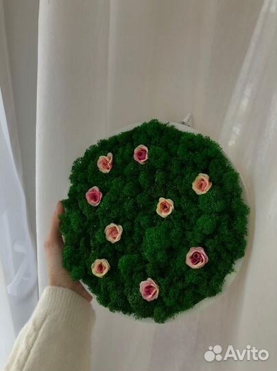 Фитокартина стабилизированный мох