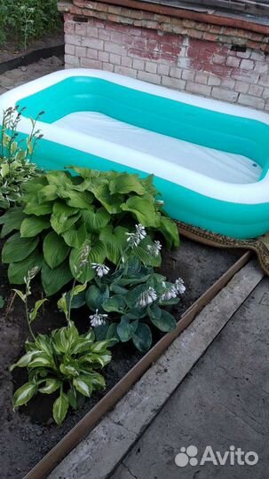 Бассейн новый. 2,62*1,75