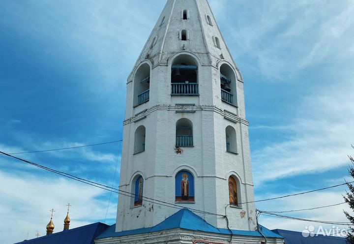 3ноя 23 Путешествие со вкусом (2М ) /цо3066