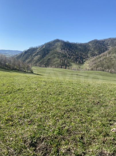 Участок 3 га (СНТ, ДНП)