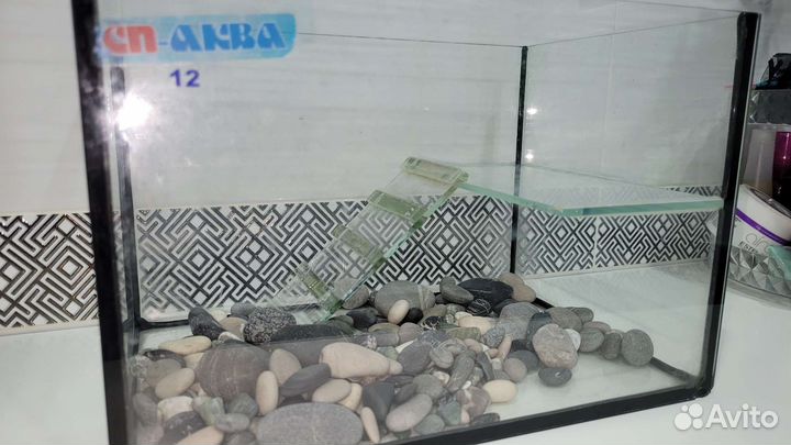 Аквариум террариум