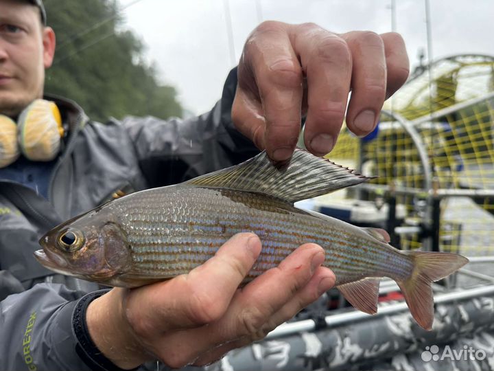 Выезд на лодке горная рыбалка