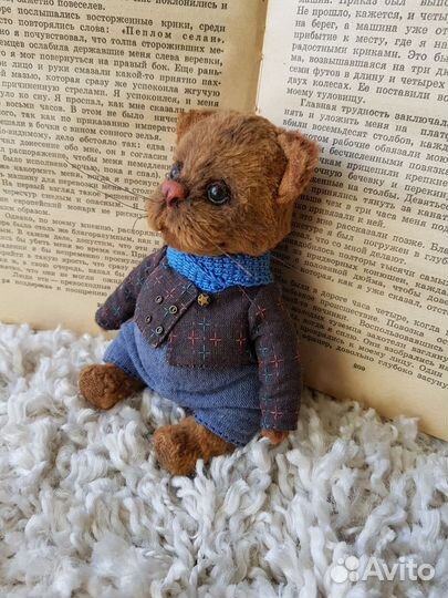 Кот Тимофей