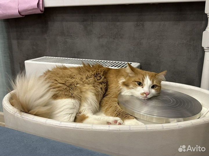 Гончарный круг turnshop в размере m