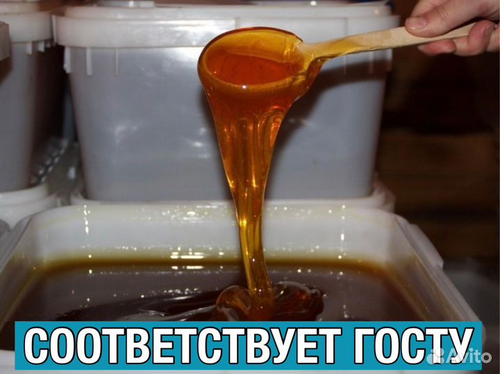 Мёд оптом высшее качество