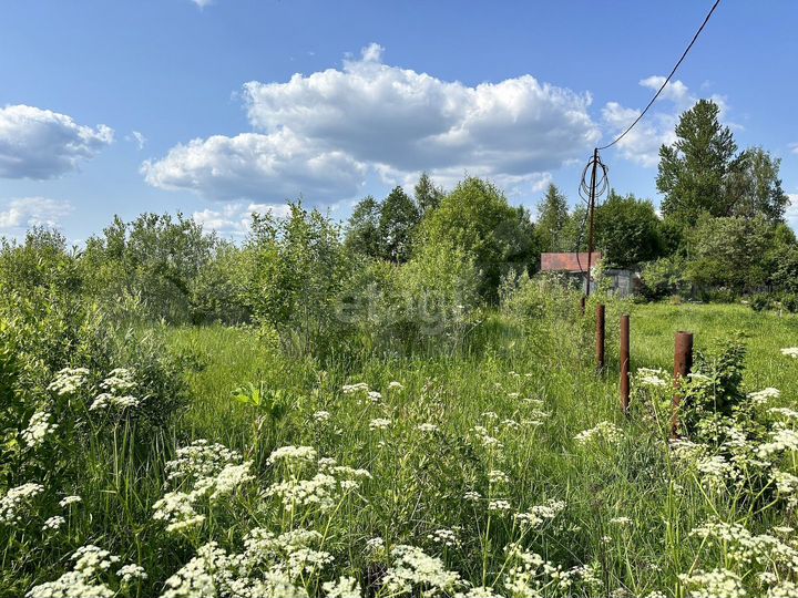 Участок 12 сот. (личное подсобное хозяйство (лпх))