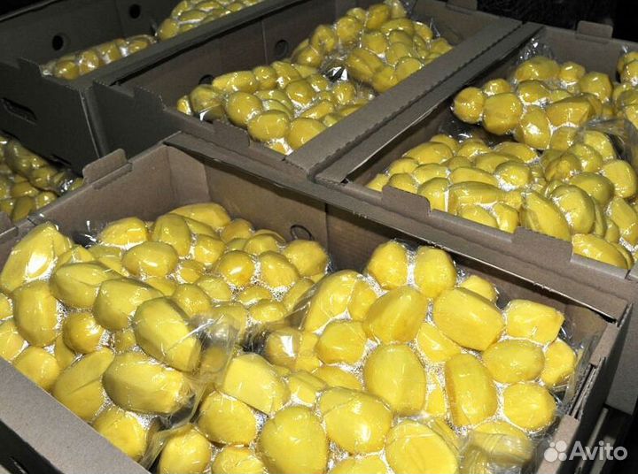 Овощи в вакумной упаковке