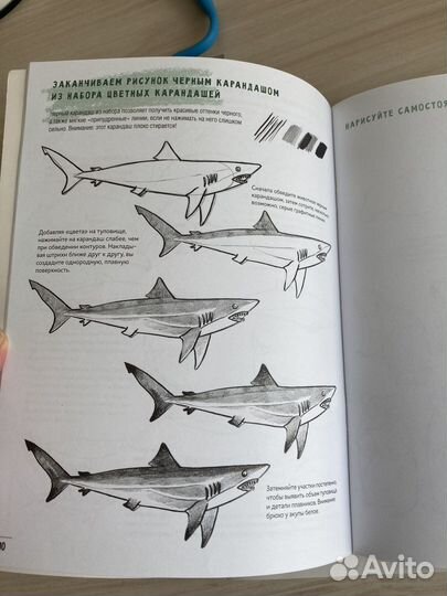 Создаем наброски