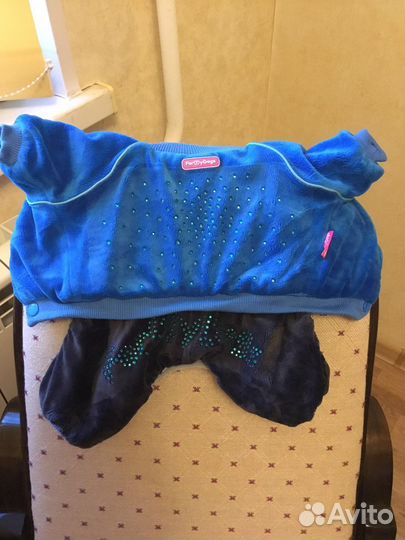 Одежда для маленьких пород собак