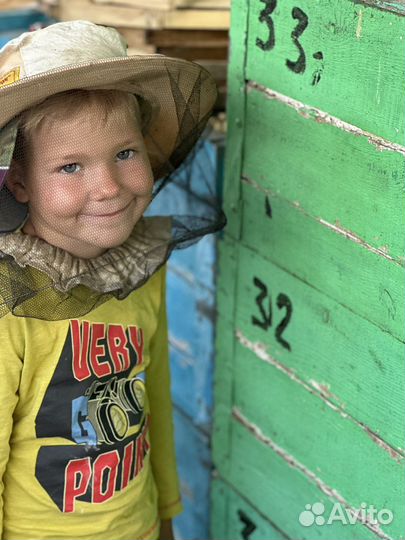 Мед с орехами и ягодами